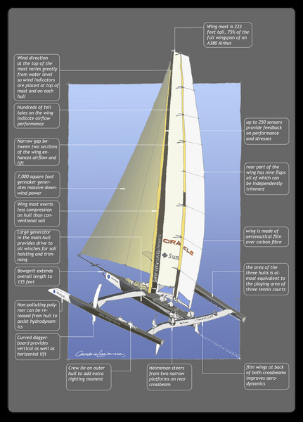 ILL_9 : Illustration : SAILING: Writing Illustration and Photography by Crosbie Lorimer