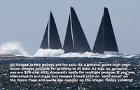 © 2024 Crosbie Lorimer